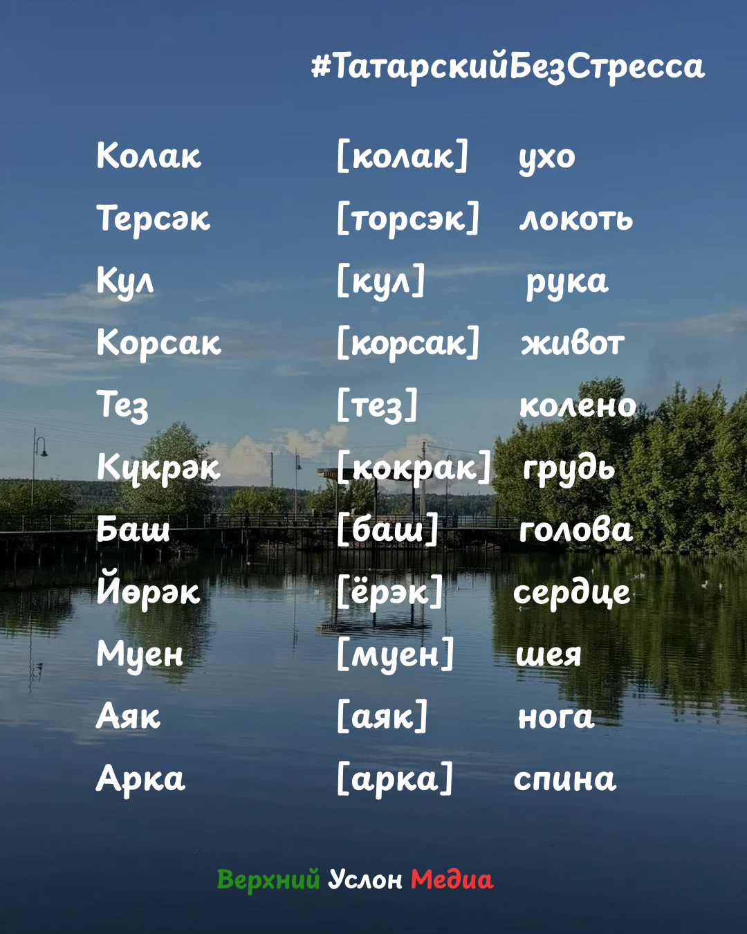 Регистратурада шәфкать туташлары яхшы мөнәсәбәт белән каршы алалар.